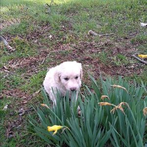 Meet your Posher, Anne